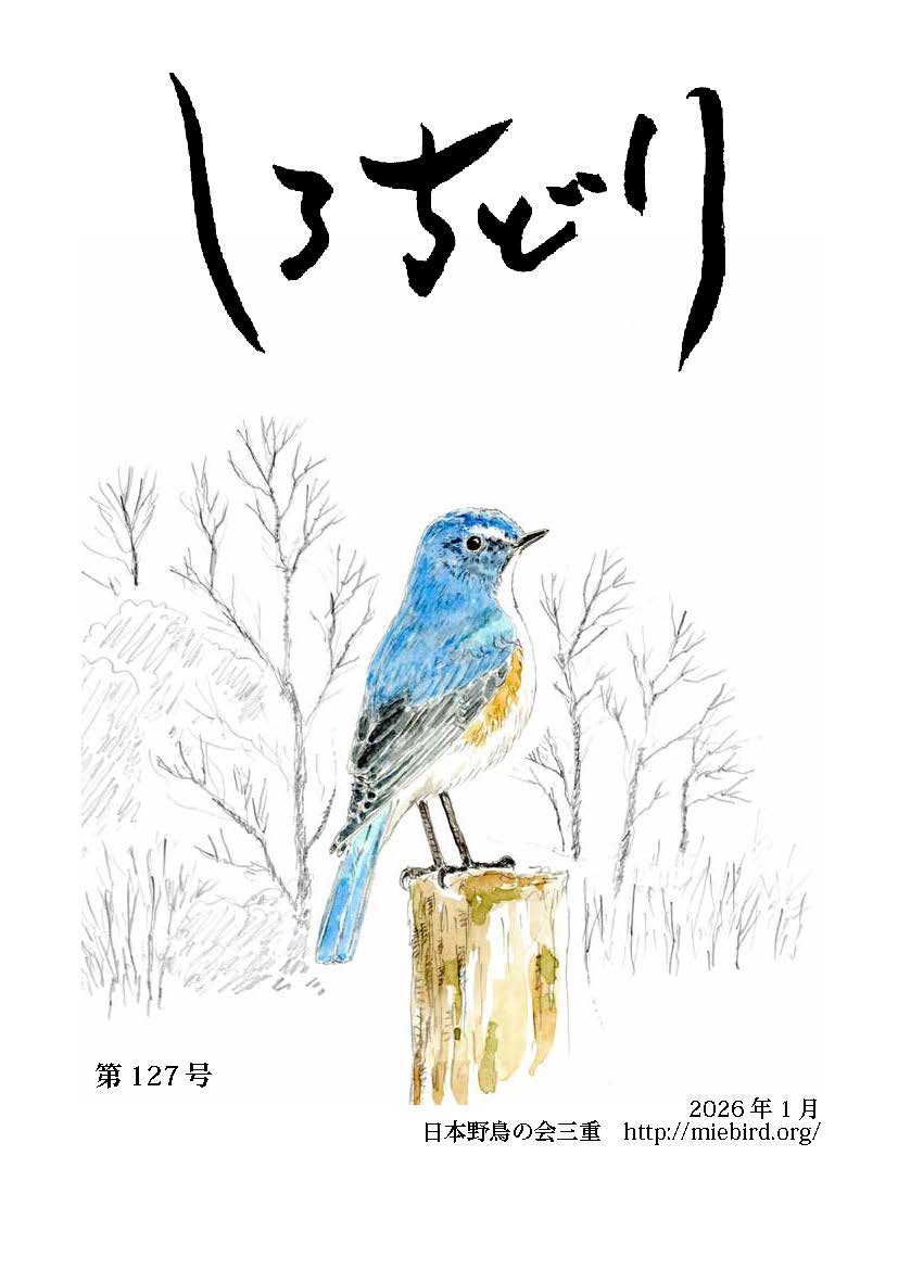 Cover of the latest newsletter