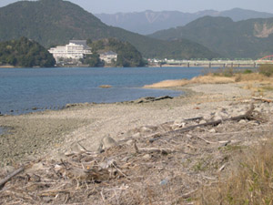 熊野川河口